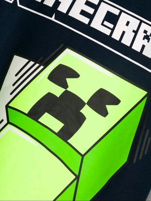 Minecraft tshirt της name it