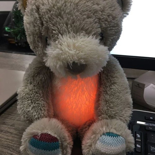 Sleep aid teddy bear like new