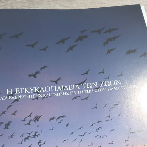 The Stork and Migratory Birds, Animal Encyclopedia Volume 17