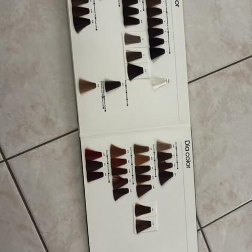 L’Oréal Professionnel Dia Book color chart