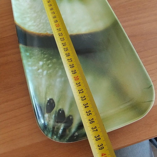 Serving platter elongated with kiwi background used, light signs of wear