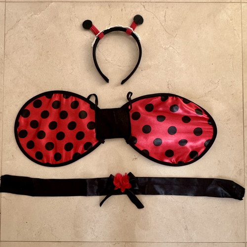 Ladybug carnival costume like new, includes dress, headband, belt, wings, 3-4 years