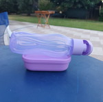 Tupperware kids set 120 ml container and 310 ml bottle with spout