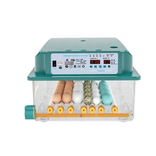 Automatic Egg Incubator with LCD Screen and Dual Power Supply