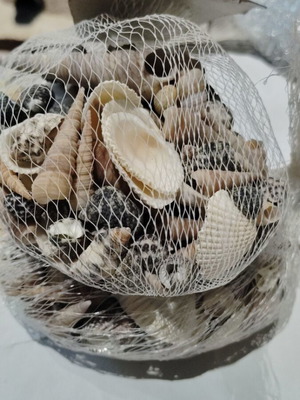 Decorative seashells like new, natural in net