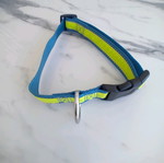 Large collar new