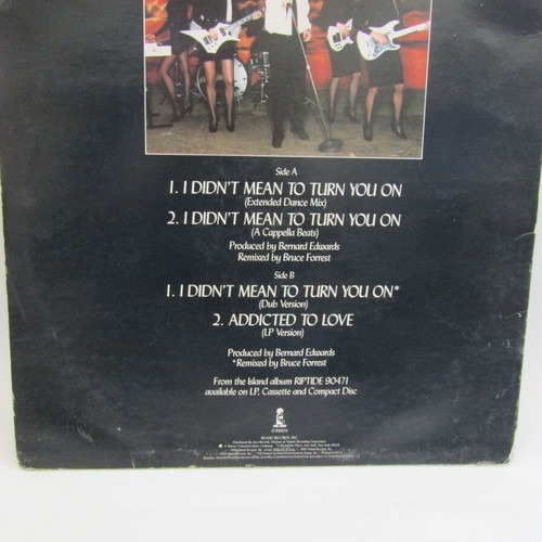 Robert Palmer I Didn't Mean To Turn You On LP used, extended dance mix