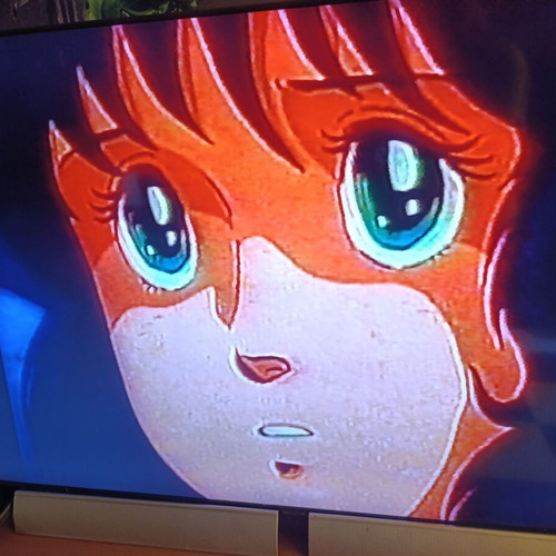 Robotech The Macross Saga VHS part 13 dubbed, like new