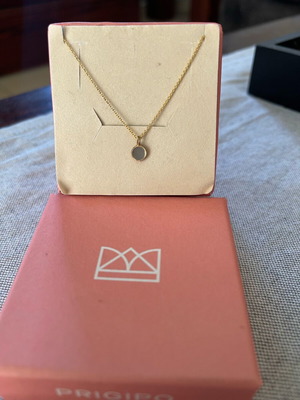 PRIGIPO necklace new with gray circle and gold chain