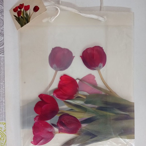 Plastic packaging bags with flowers used, pack of 2