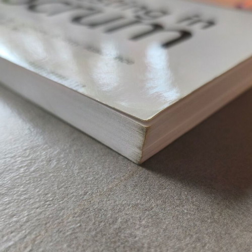 Testing in Scrum book like new, English