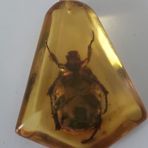Pendant from synthetic amber with beetle inside like new
