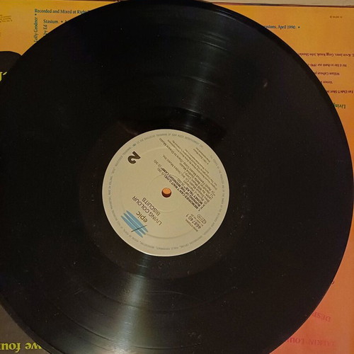 Living Colour Bisquits E.P. vinyl used, rock