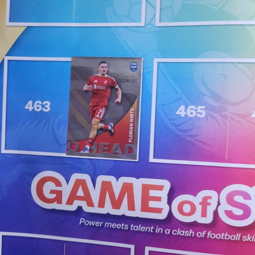 Panini FIFA 365 sticker album