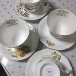 Royal Kent tea cups used, porcelain with floral month design