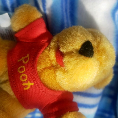 Blue bag Winnie the Pooh used