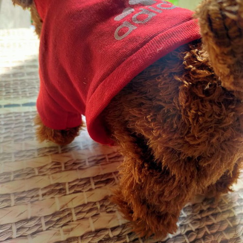 Adidog plush dog toy