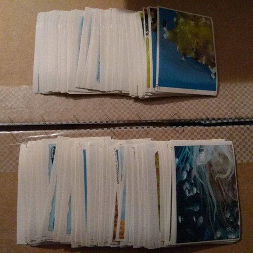 Madmax Ocean World collection set with album and 150 stickers, new