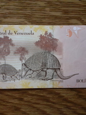 Βενεζουέλα 5 Bolivares χαρτονόμισμα 2011, UNC
