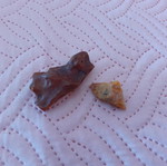 Two pieces of raw amber