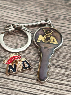 New Democracy keychain and lapel pin set like new
