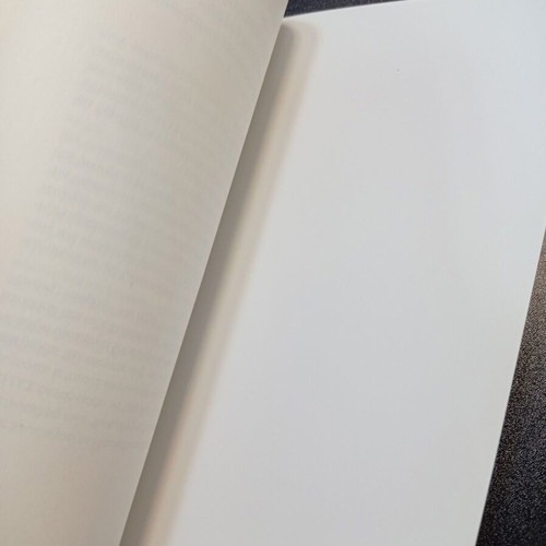 The Trump Phenomenon book like new, Giannis Loulis