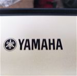 VINTAGE KEYS Yamaha YPT-220