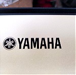  VINTAGE KEYS Yamaha YPT-220