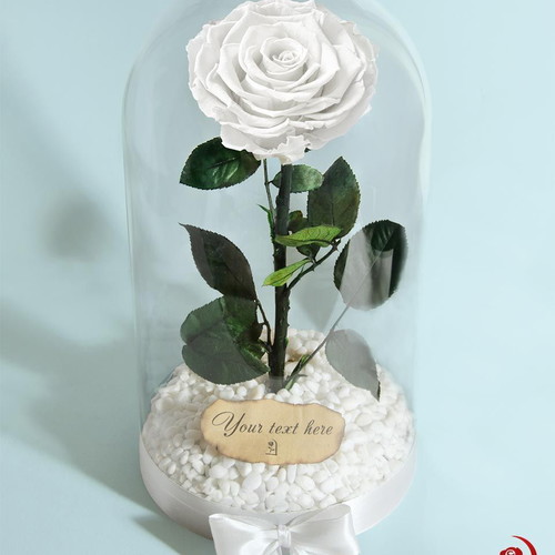 White Eternal Rose in Large Glass Dome made to order