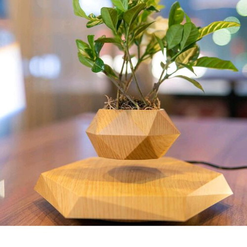 Magnetic Levitation Flower Pot like new