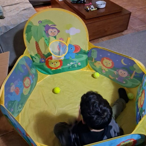 Ball pool used with jungle animal theme
