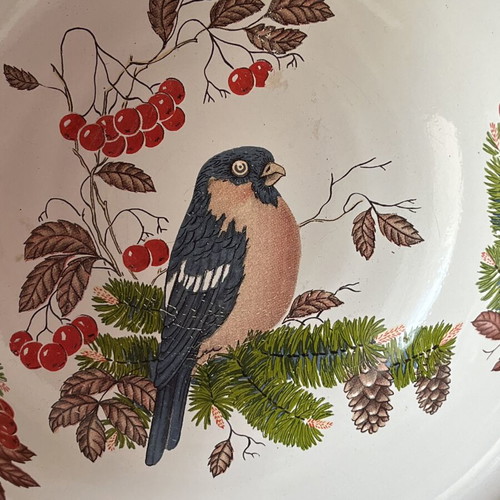 Vintage enamel bowl USSR with bullfinch design, 18cm, like new