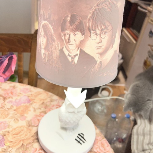 3D Harry Potter lamp