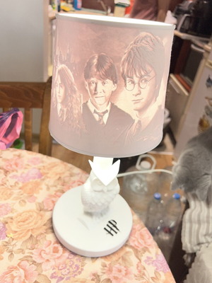 3D Harry Potter lamp