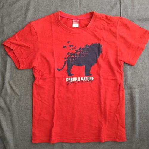 Joyce short-sleeve T-shirt for 5-year-old boy, red