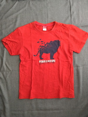 Joyce short-sleeve T-shirt for 5-year-old boy, red