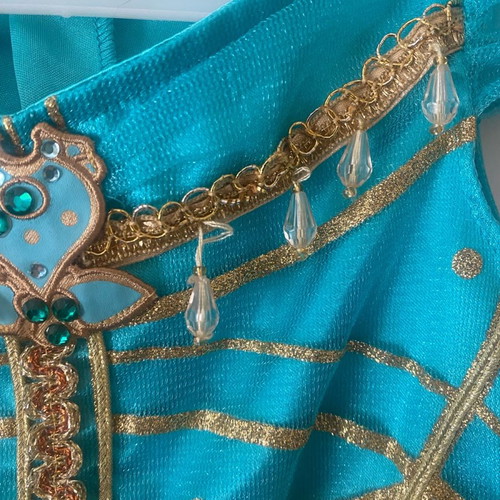 Jasmine costume from Disneyland with slight wear, size 7-8