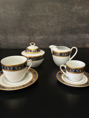 Royal Queen porcelain tea set Bavaria Germany like new