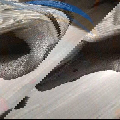 Παπούτσια τένις Asics Womens Solution Speed FF 2 38 σαν καινούργια, άσπρα/μπλε