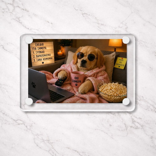 Acrylic fridge magnet "Not Today" new, Lazy Dog Meme 9x6cm