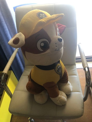 Λούτρινο Ty sequin Paw Patrol 40cm μεταχειρισμένο με δώρο μικρότερο Ty
