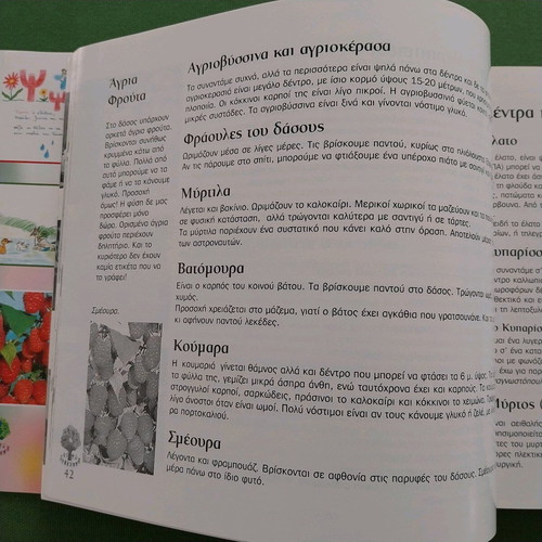 Learning About Forests new children's book