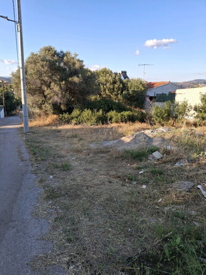 ΕΠΕΙΓΟΝ ΤΟ ΟΙΚΟΠΕΔΟ ΝΑ ΠΟΥΛΗΘΕΙ ΕΧΟΥΝ ΟΙ ΑΝΘΡΩΠΟΙ ΑΝΑΓΚΗ.