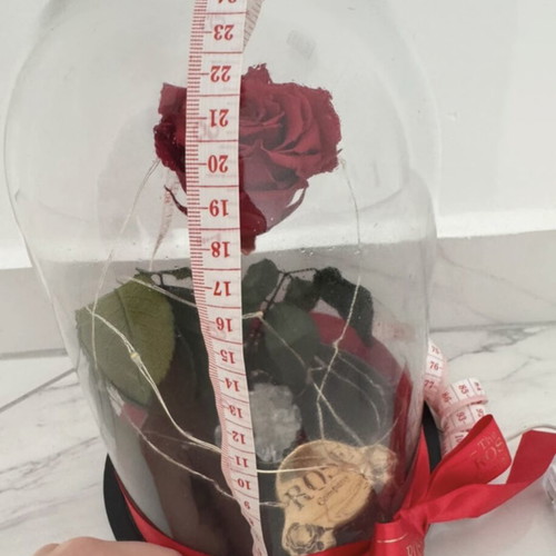 Preserved red rose in glass dome used with LED lights
