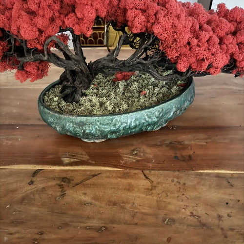 Bonzai handmade new
