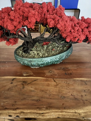 Bonzai handmade new