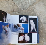 Book 1001 Cats without damage