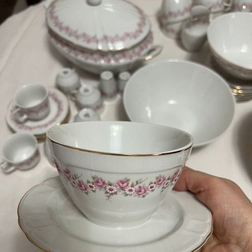 Scherzer Vintage 101-Piece Dinnerware Set Like New