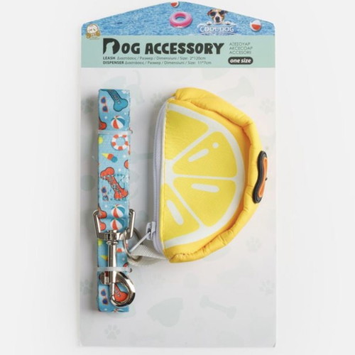 Turquoise Summer Dog Leash with Bag Holder