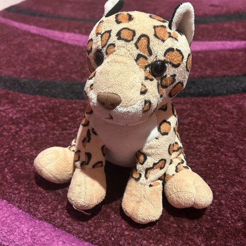 Stuffed bear used in good condition